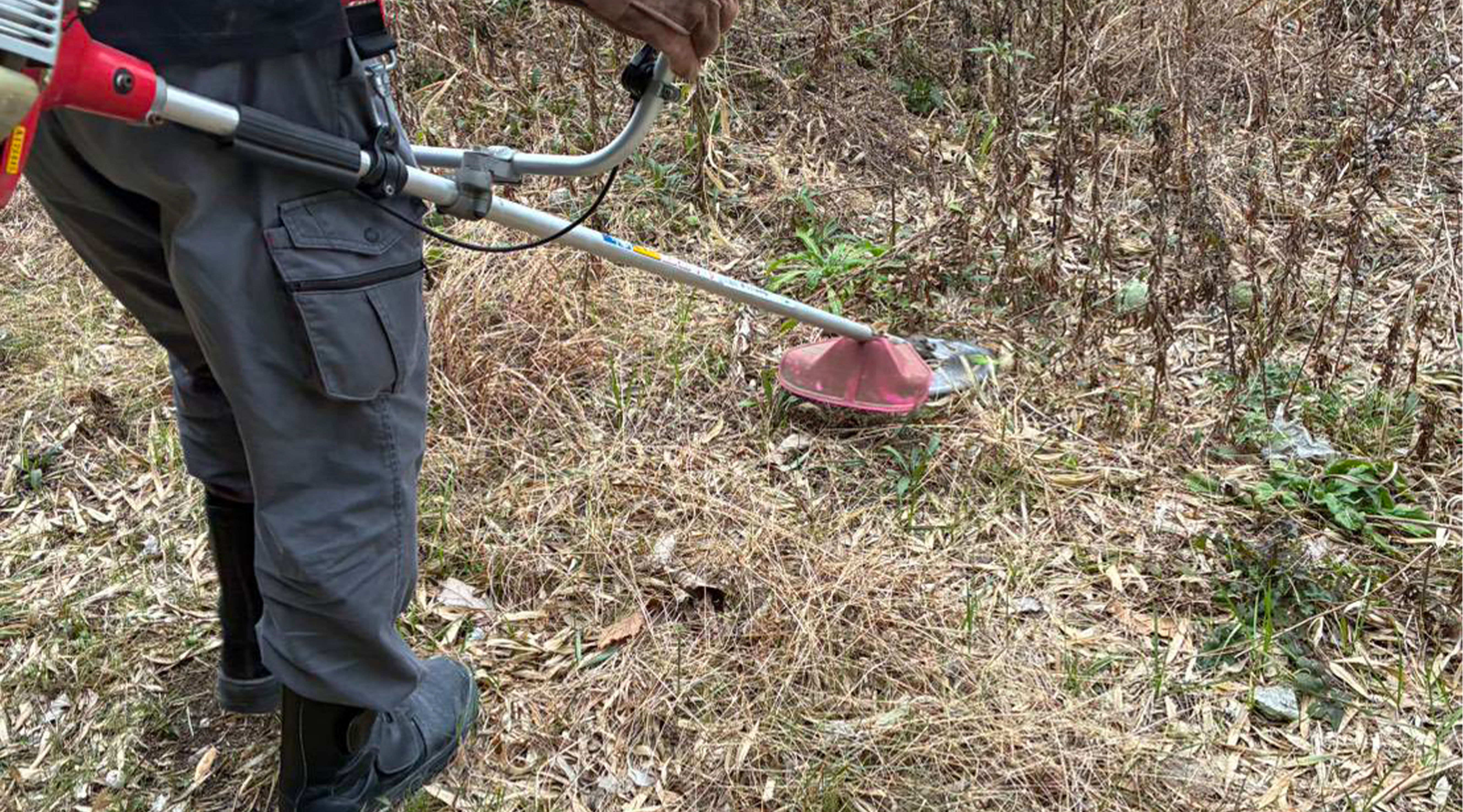 ドラゴン商会株式会社のサブ写真２